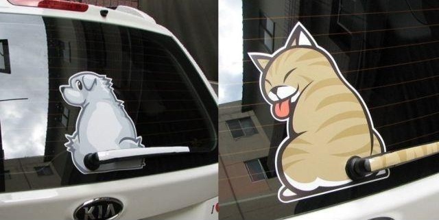 sticker chat chien voiture